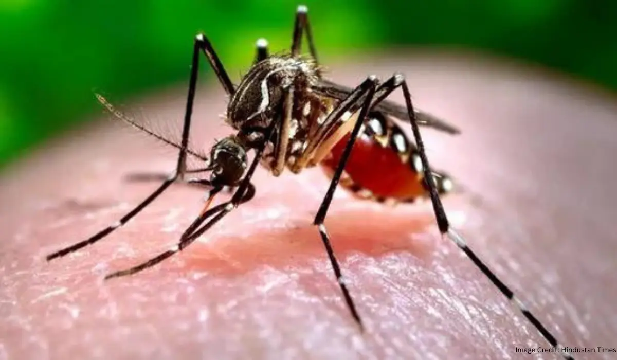 Zika Virus